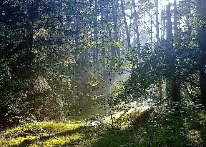 Δωμάτια σε οικογενειακή κατοικία Przy Plazy